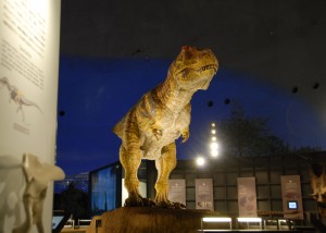 恐竜博物館 恐竜博物館